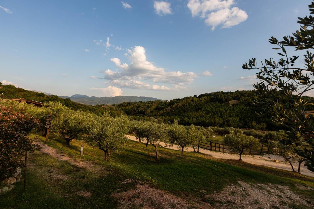 ספולטו Agriturismo Agrileisuretime מראה חיצוני תמונה