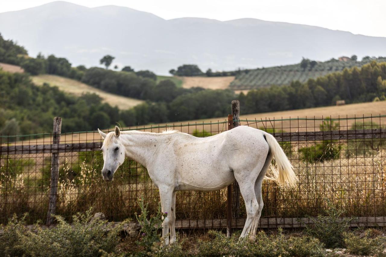 ספולטו Agriturismo Agrileisuretime מראה חיצוני תמונה
