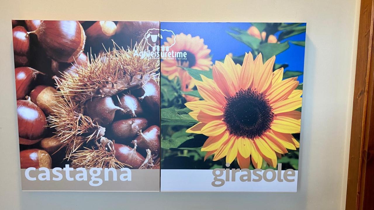 ספולטו Agriturismo Agrileisuretime מראה חיצוני תמונה