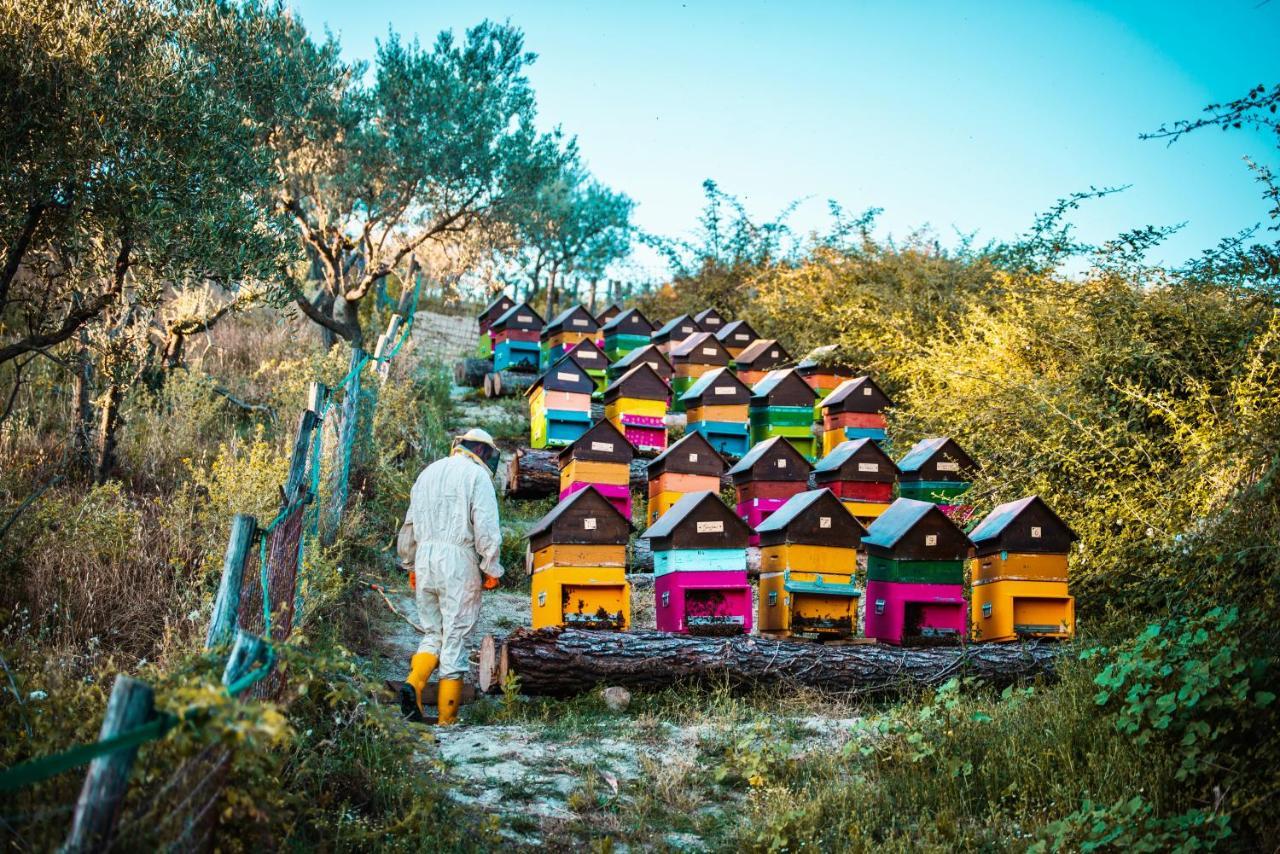 ספולטו Agriturismo Agrileisuretime מראה חיצוני תמונה