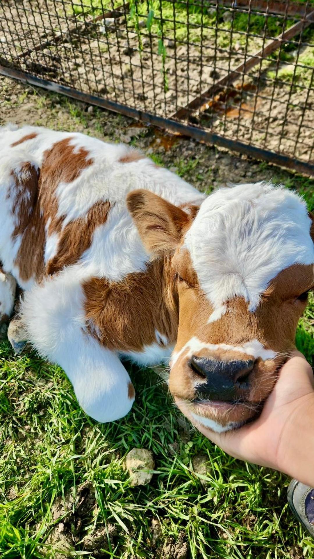 ספולטו Agriturismo Agrileisuretime מראה חיצוני תמונה
